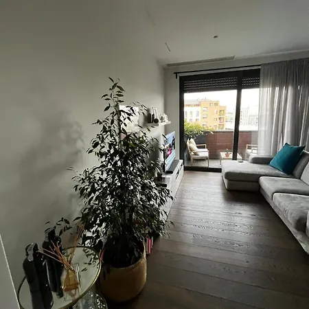 Navigli Design *